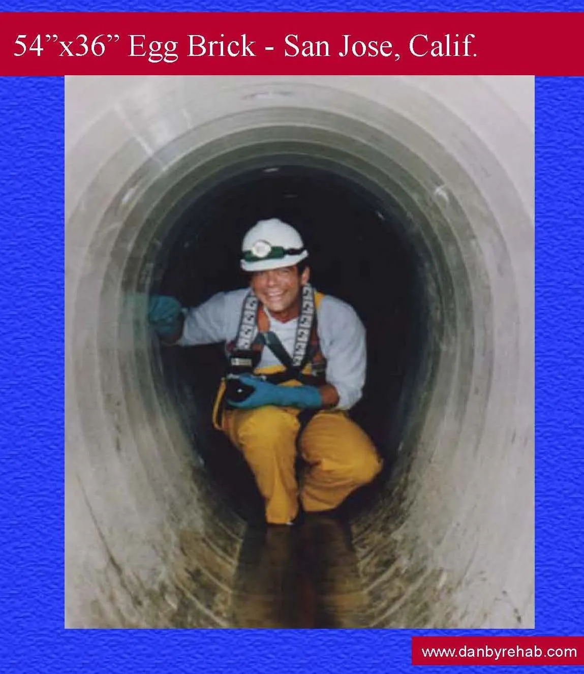 54X36 Egg San Jose 2