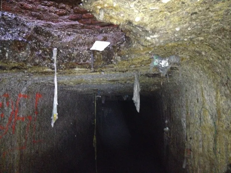 6' x 6' Box Combo Sewer – photo 2