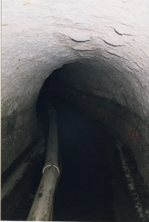 60” x 70” Semi-Elliptical Sewer – photo 1